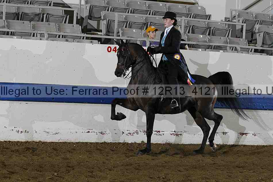 Proof 12r13_4121