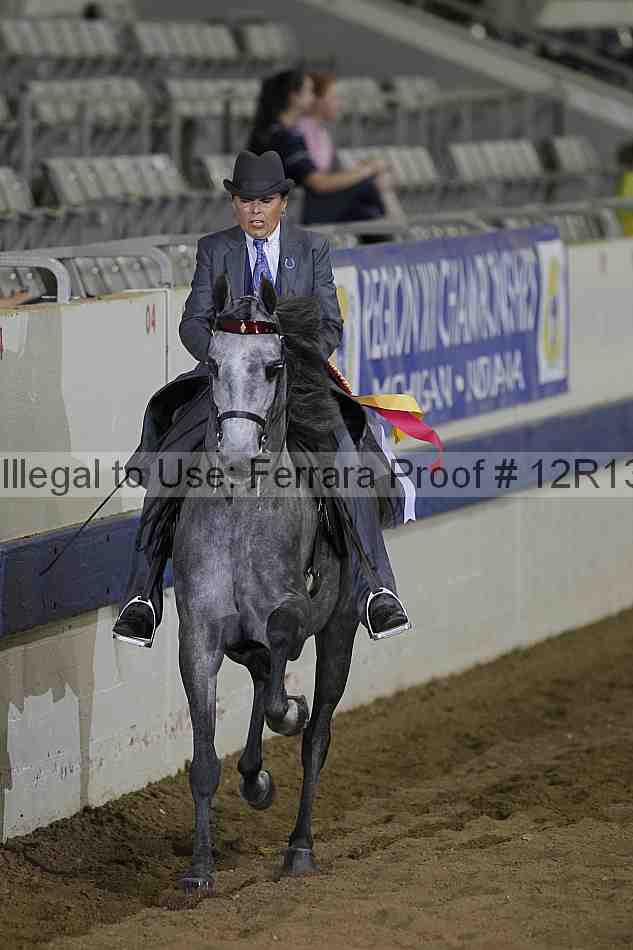 Proof 12r13_4127