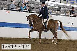 12r13_4131 proof
