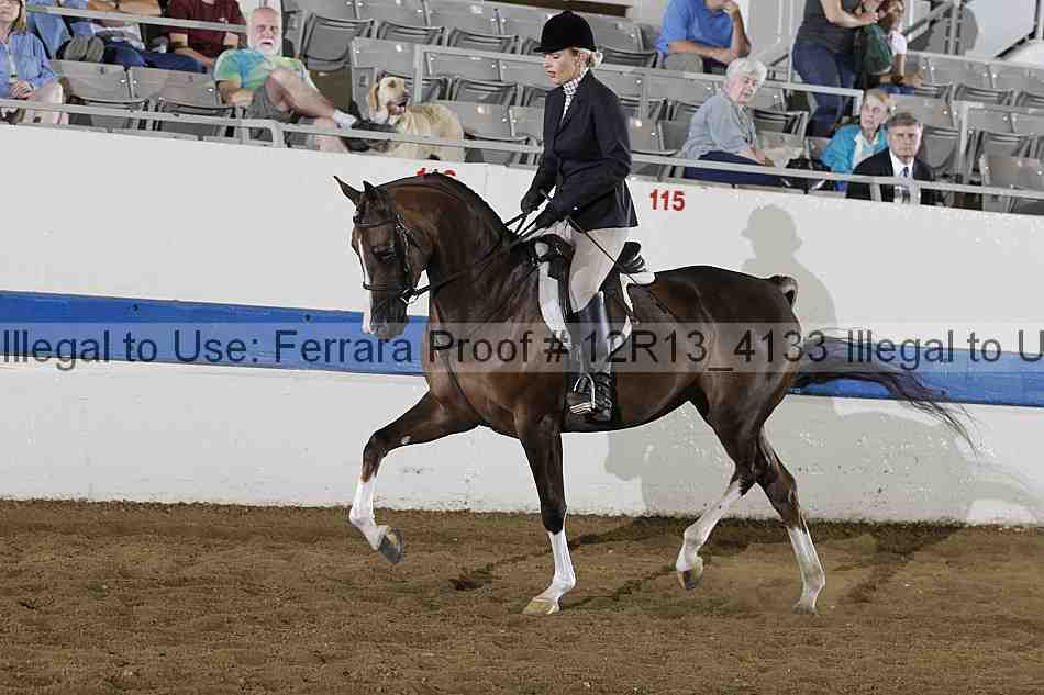 Proof 12r13_4133