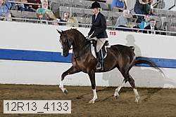 12r13_4133 proof