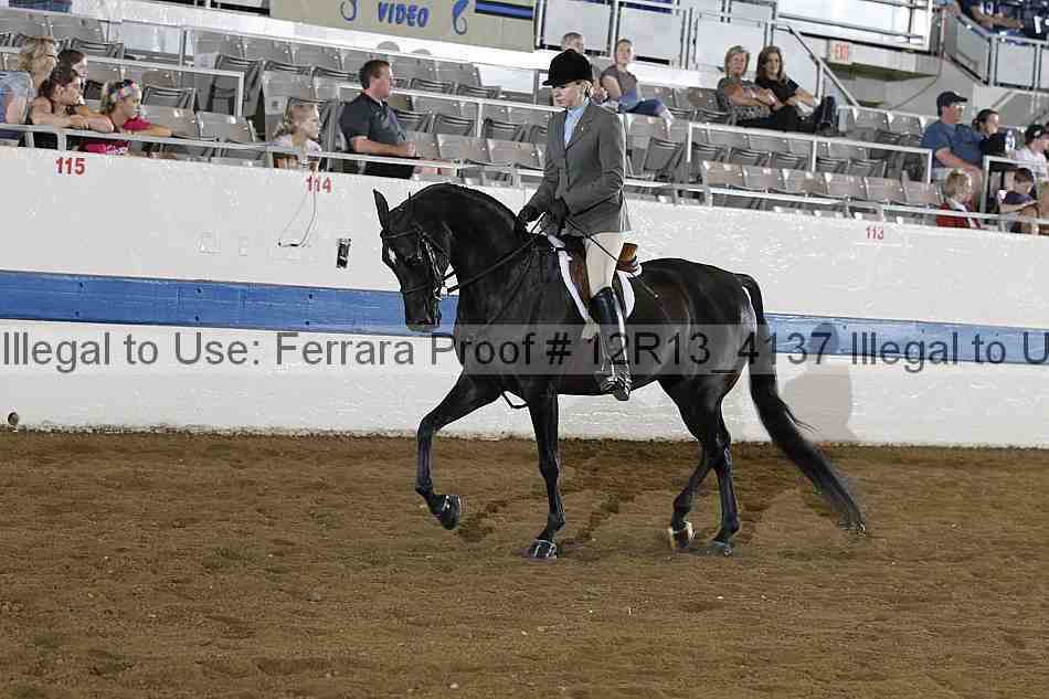Proof 12r13_4137