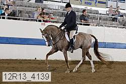 12r13_4139 proof