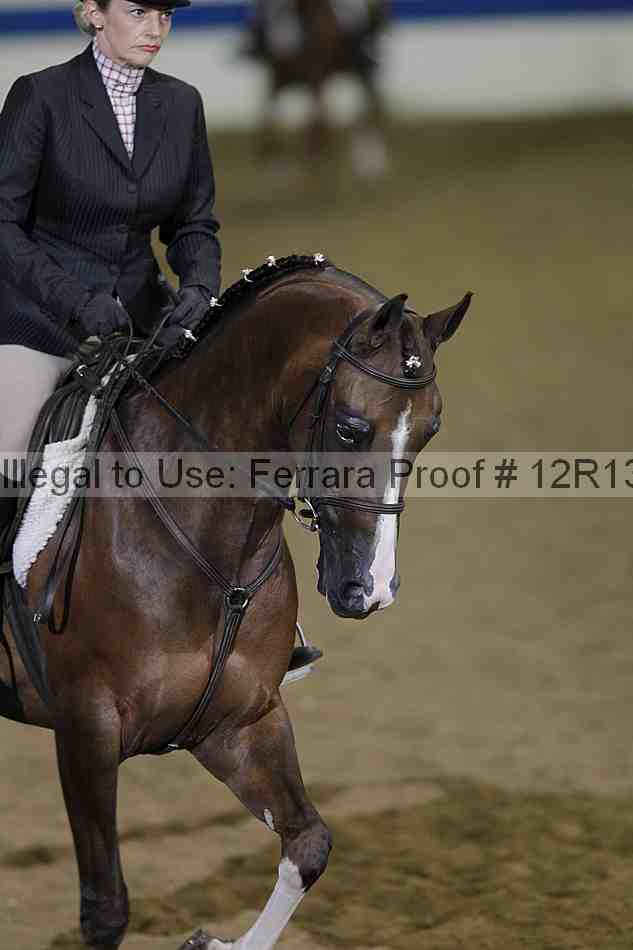 Proof 12r13_4148