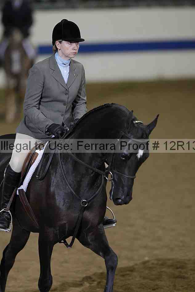 Proof 12r13_4153