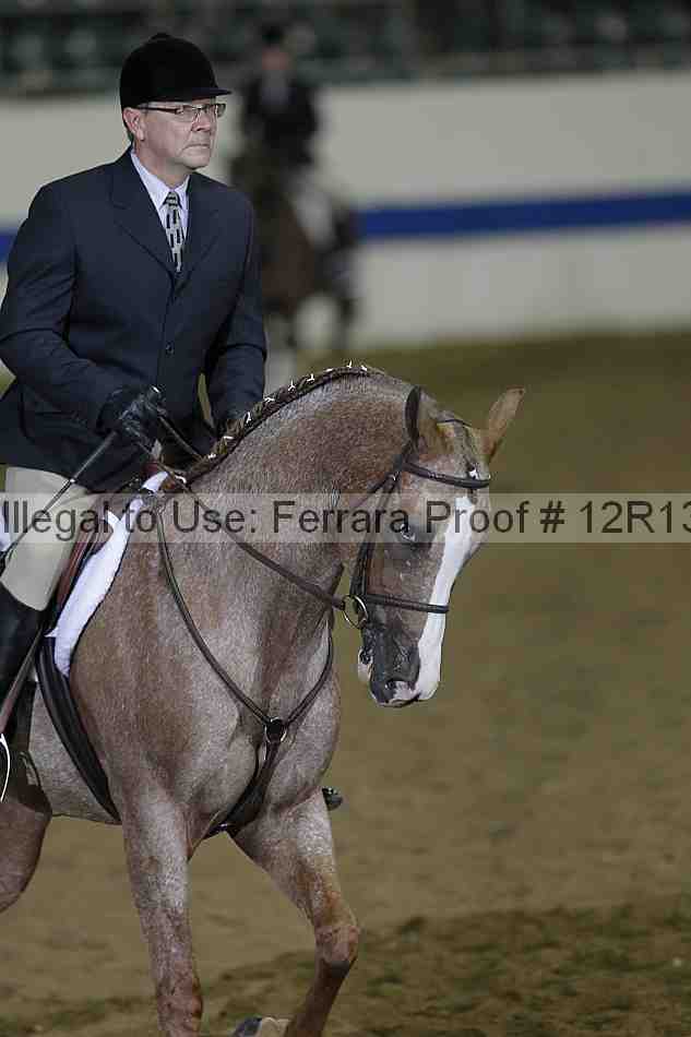 Proof 12r13_4155