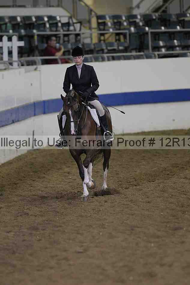 Proof 12r13_4156