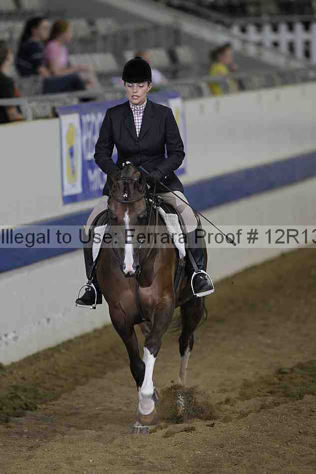 Proof 12r13_4157