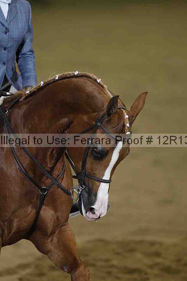 Proof 12r13_4160