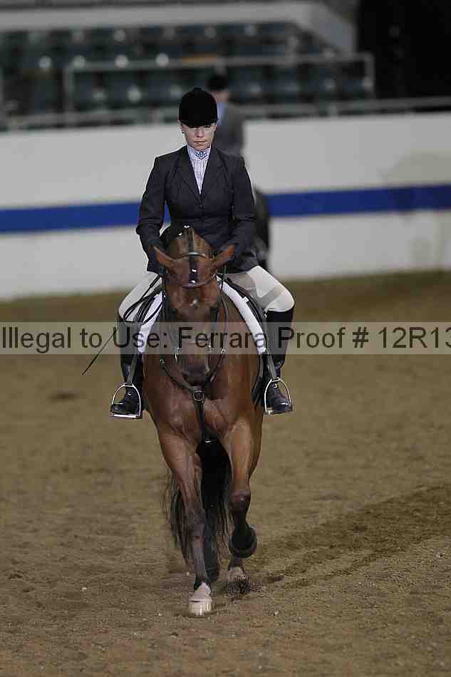 Proof 12r13_4161