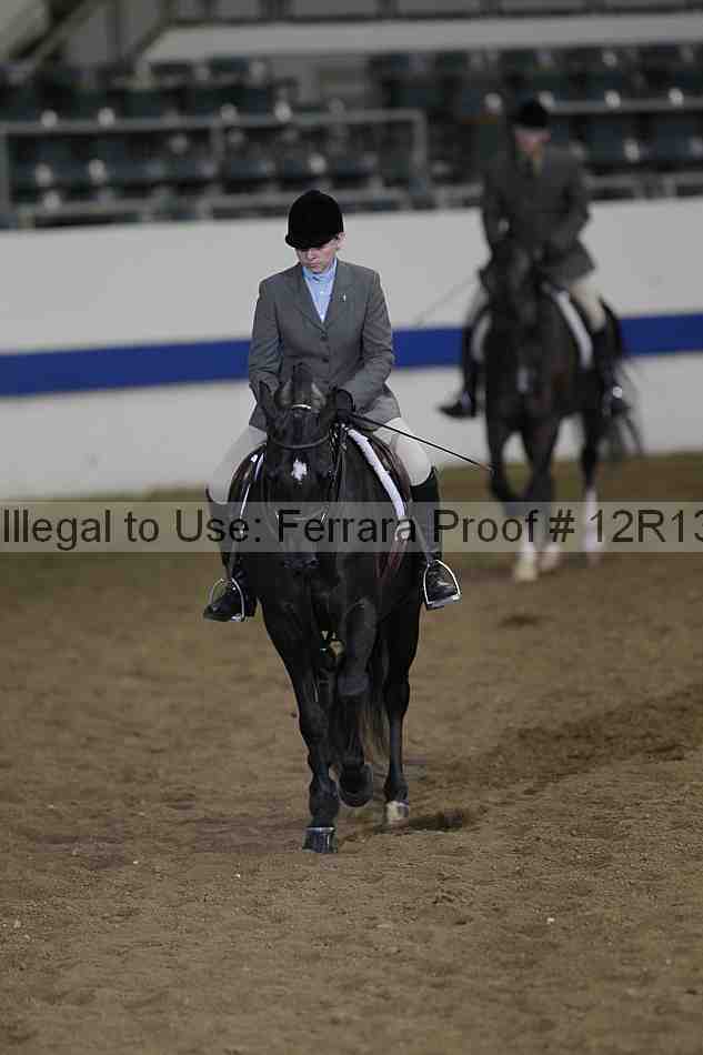 Proof 12r13_4162