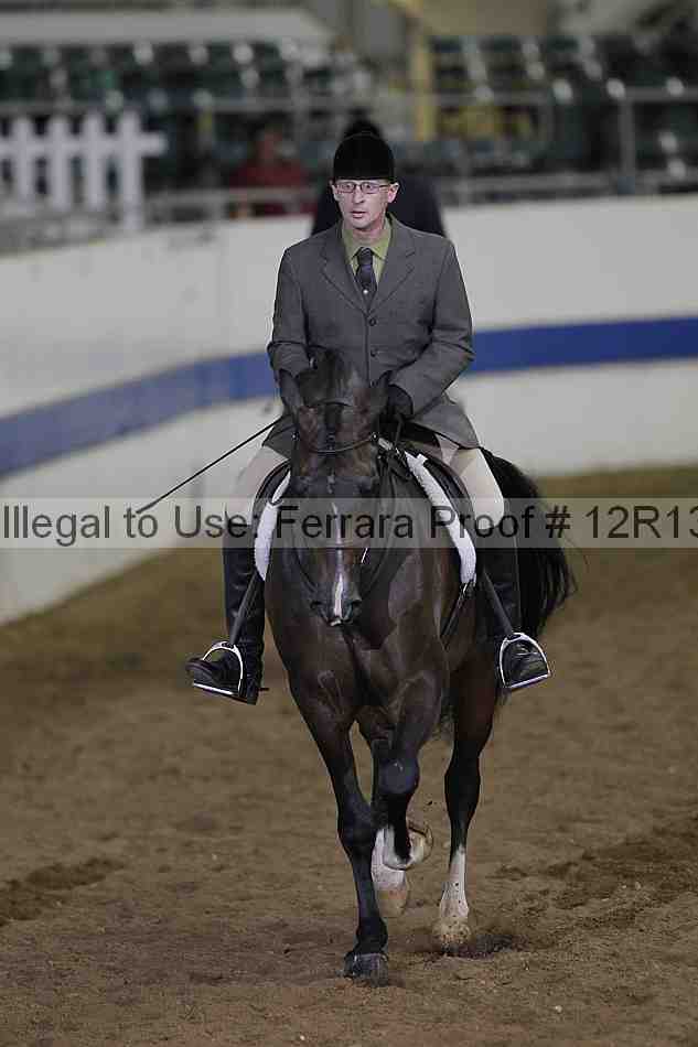 Proof 12r13_4163