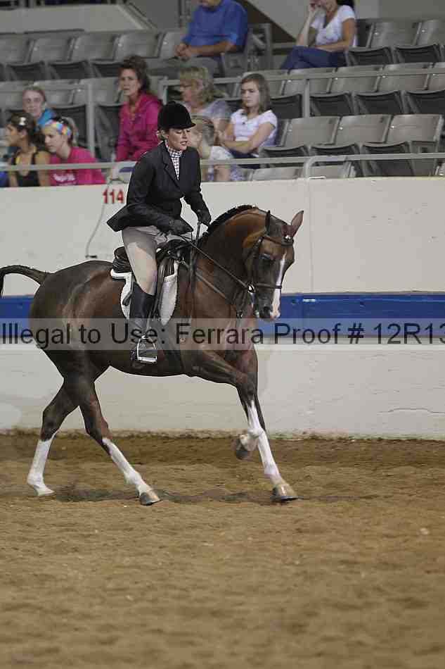 Proof 12r13_4173