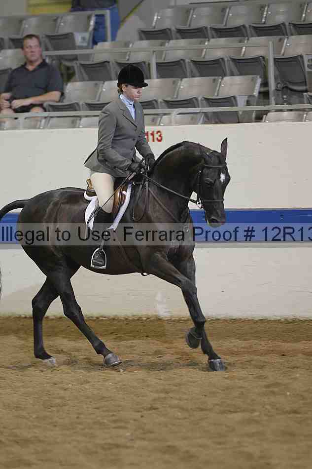 Proof 12r13_4174