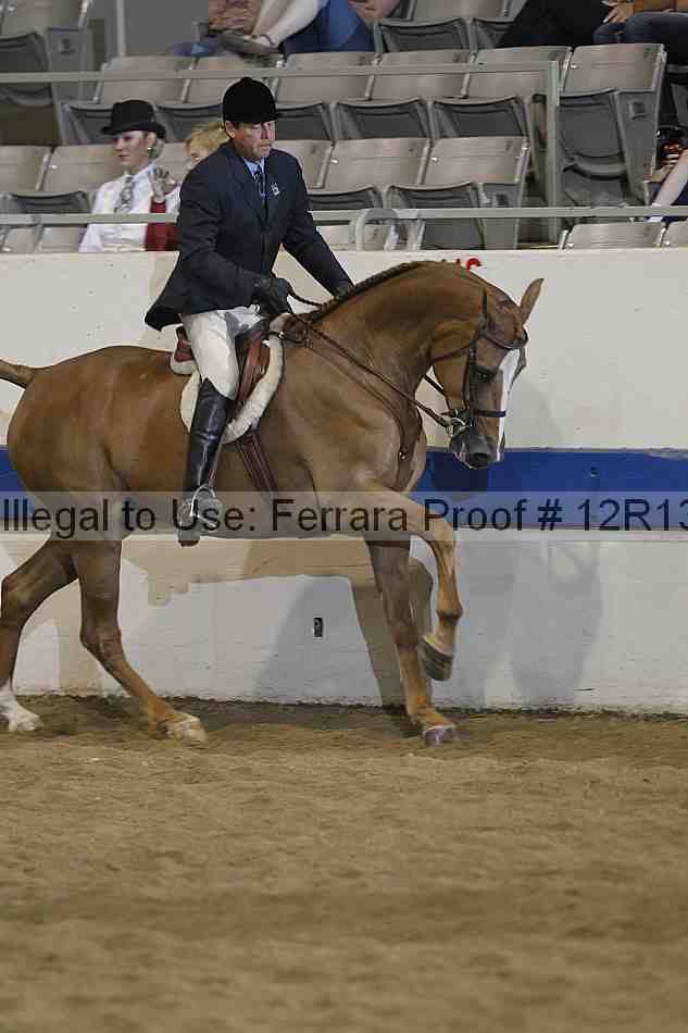 Proof 12r13_4175