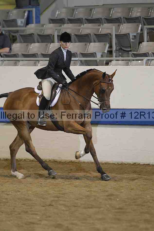 Proof 12r13_4178