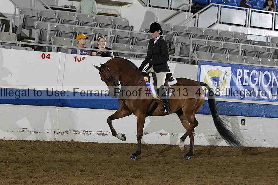 Proof 12r13_4188