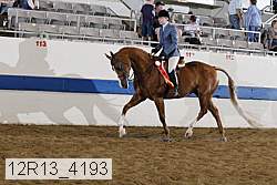 12r13_4193 proof