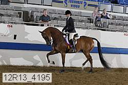 12r13_4195 proof