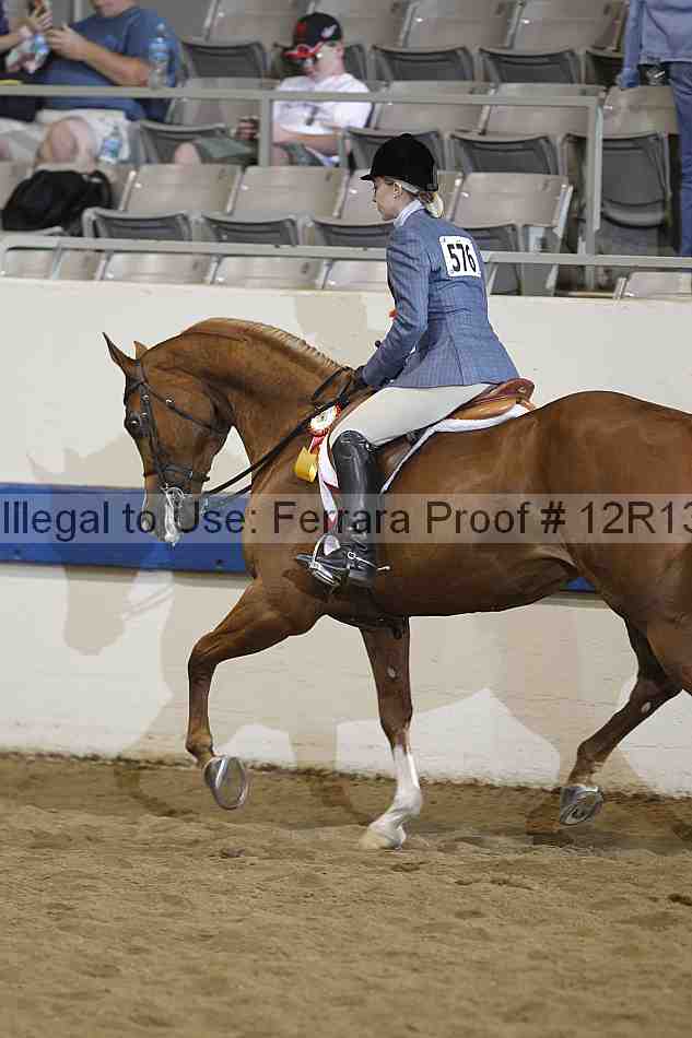Proof 12r13_4199
