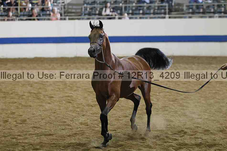 Proof 12r13_4209