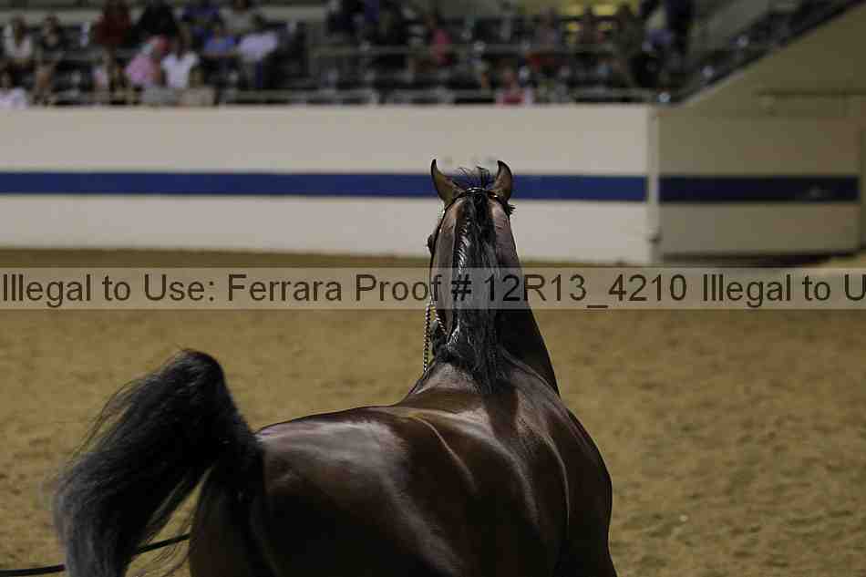Proof 12r13_4210