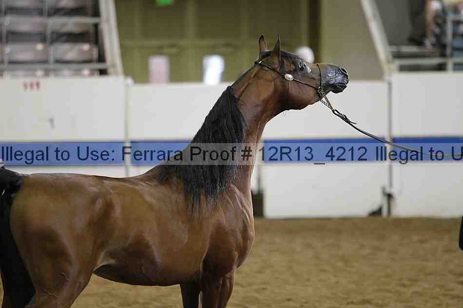 Proof 12r13_4212