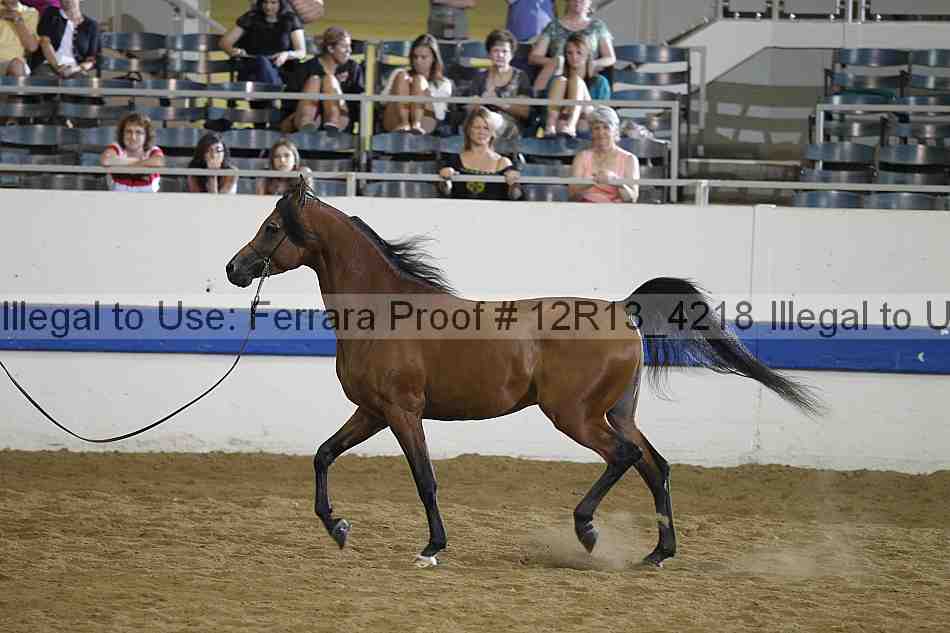 Proof 12r13_4218