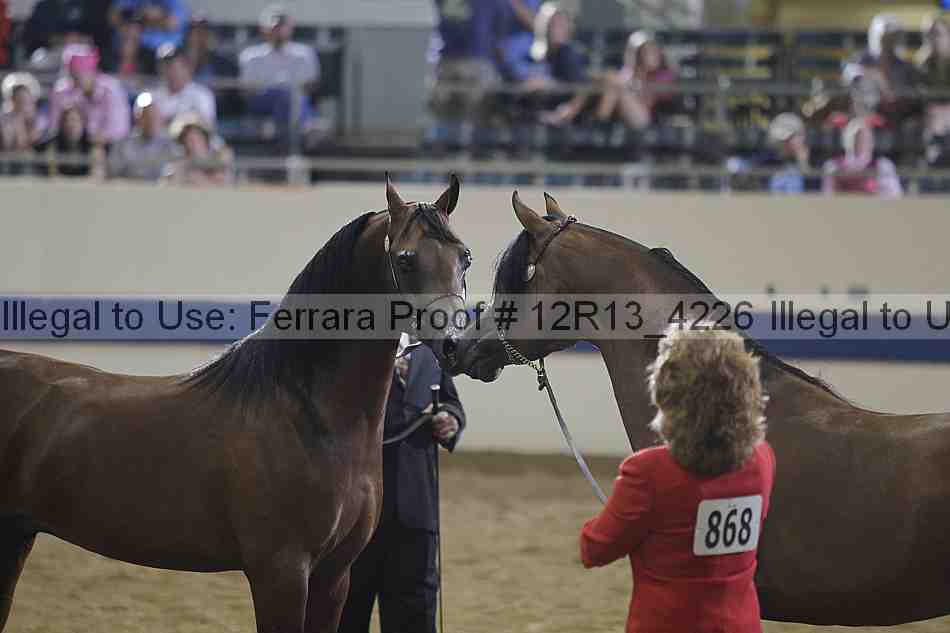 Proof 12r13_4226