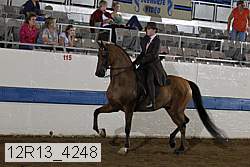 12r13_4248 proof