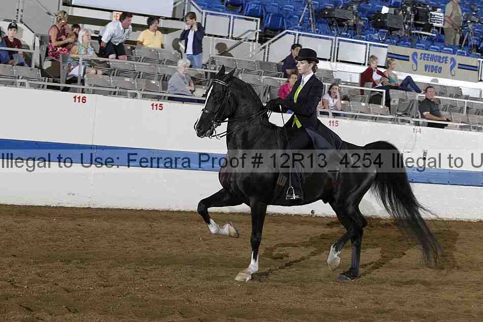 Proof 12r13_4254
