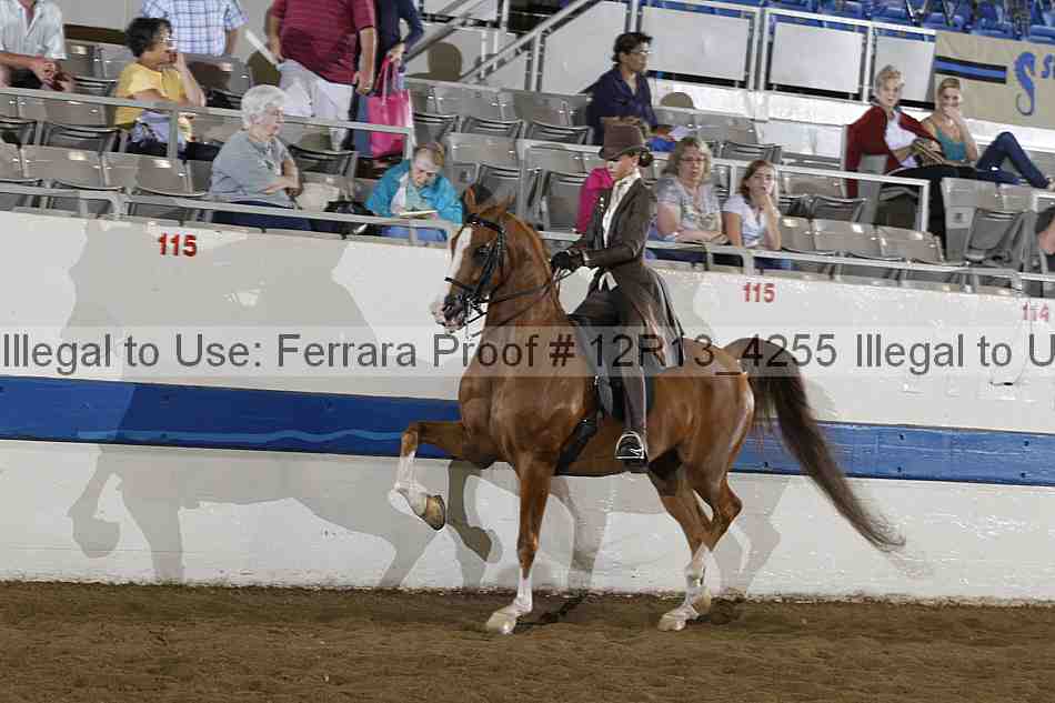 Proof 12r13_4255