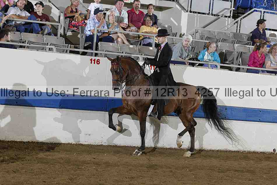 Proof 12r13_4257