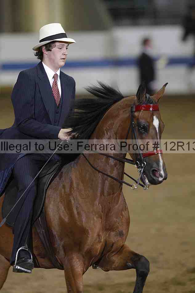 Proof 12r13_4259