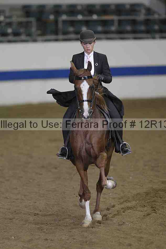 Proof 12r13_4260