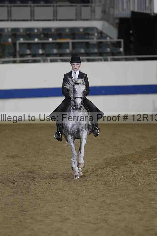 Proof 12r13_4262