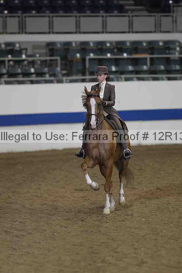 Proof 12r13_4272