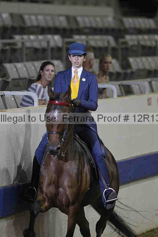Proof 12r13_4275