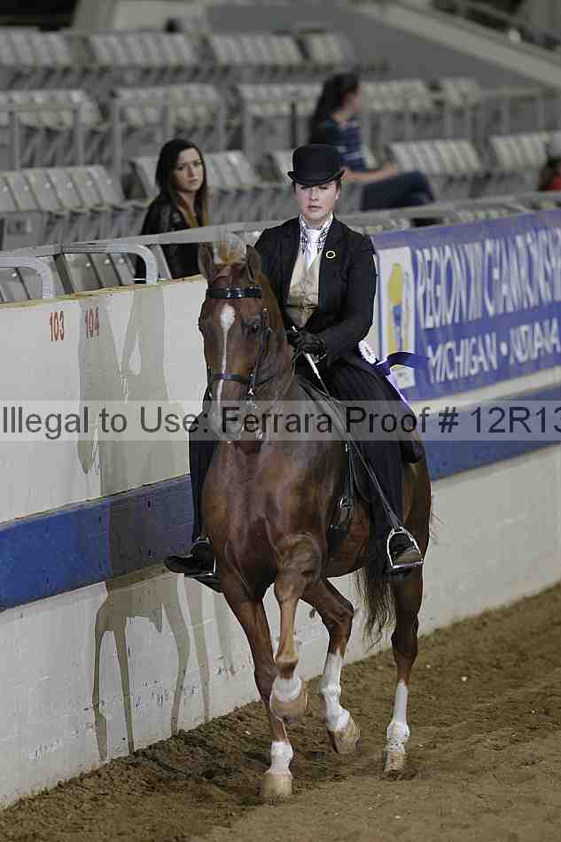 Proof 12r13_4290