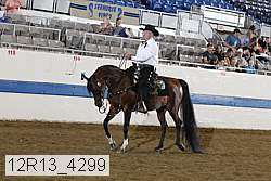 12r13_4299 proof
