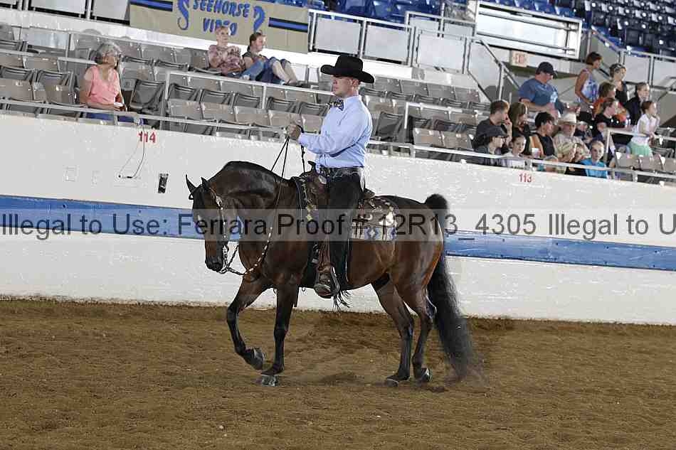 Proof 12r13_4305