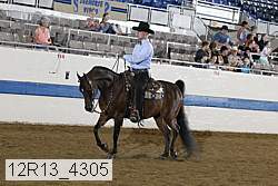 12r13_4305 proof