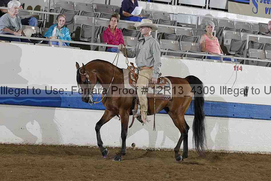 Proof 12r13_4309