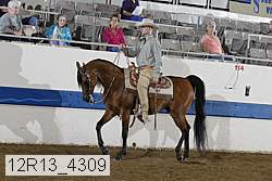 12r13_4309 proof