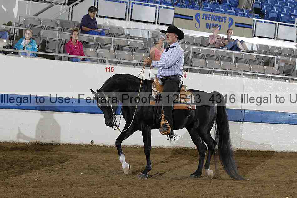 Proof 12r13_4316