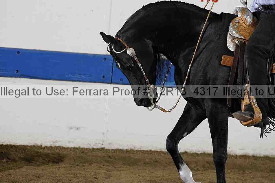 Proof 12r13_4317