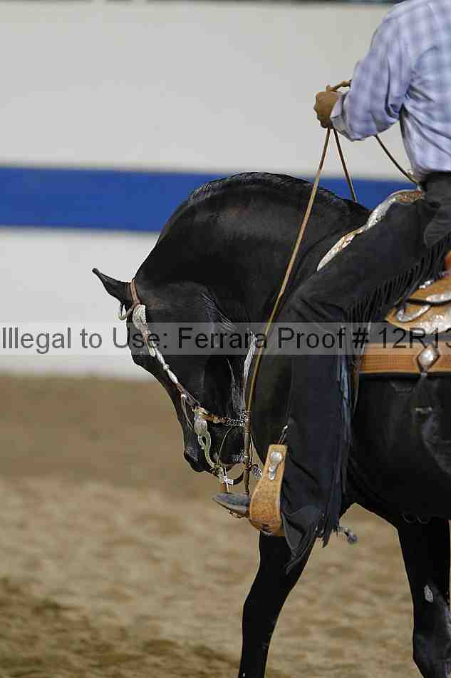 Proof 12r13_4319
