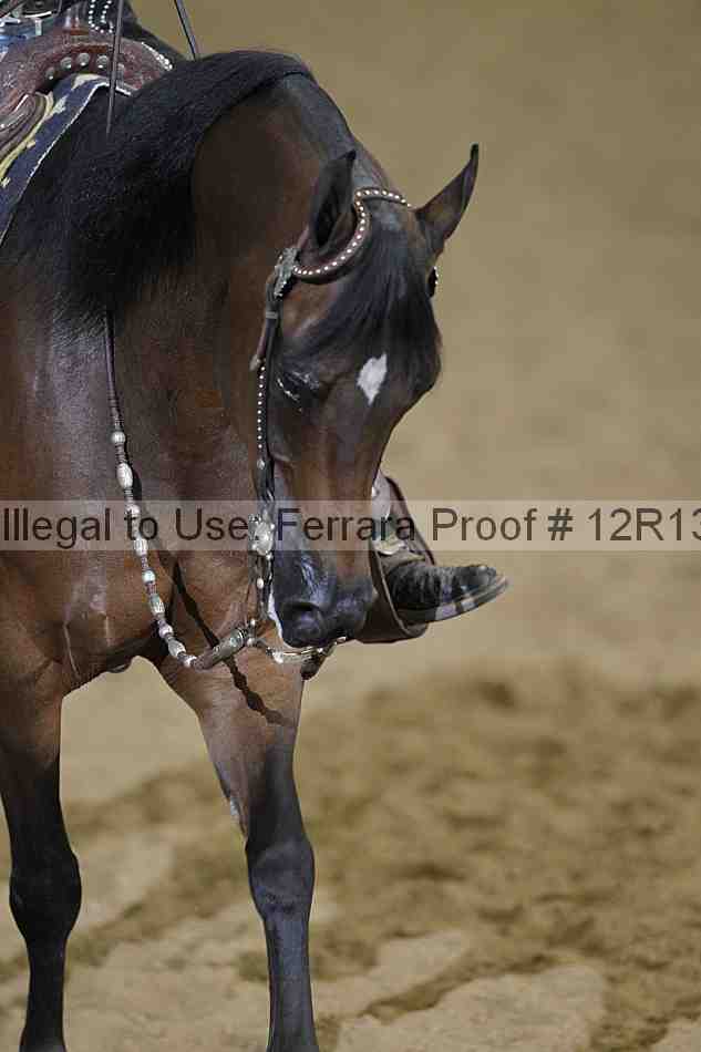 Proof 12r13_4323