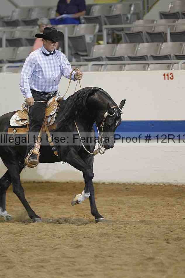 Proof 12r13_4327