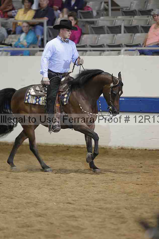 Proof 12r13_4329